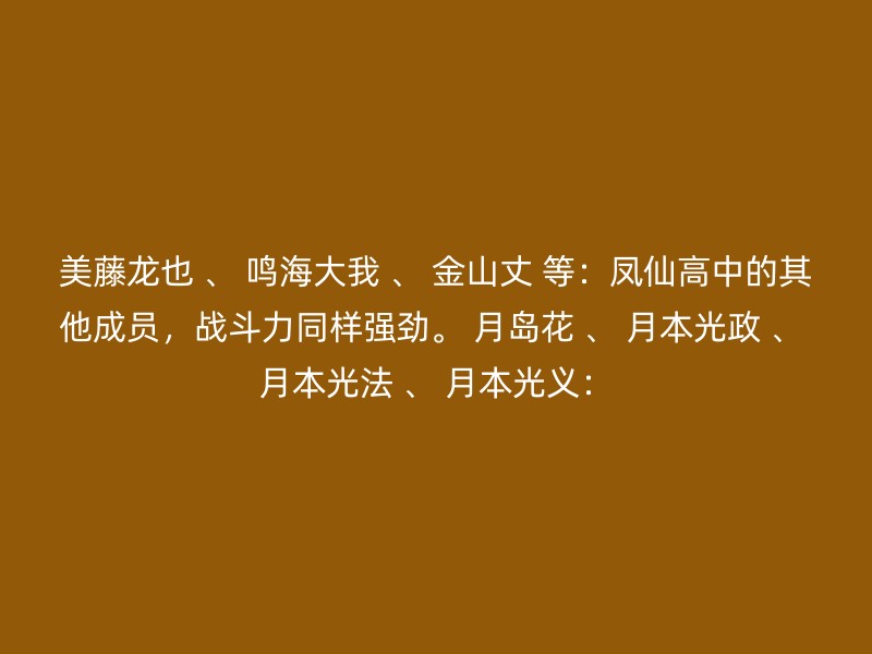 美藤龙也 、 鸣海大我 、 金山丈 等：凤仙高中的其他成员，战斗力同样强劲。 月岛花 、 月本光政 、 月本光法 、 月本光义：