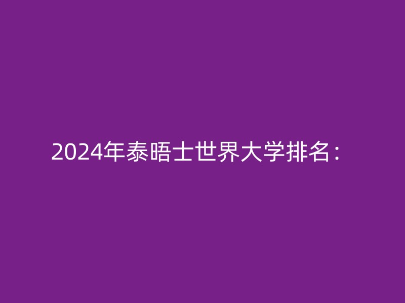 2024年泰晤士世界大学排名：