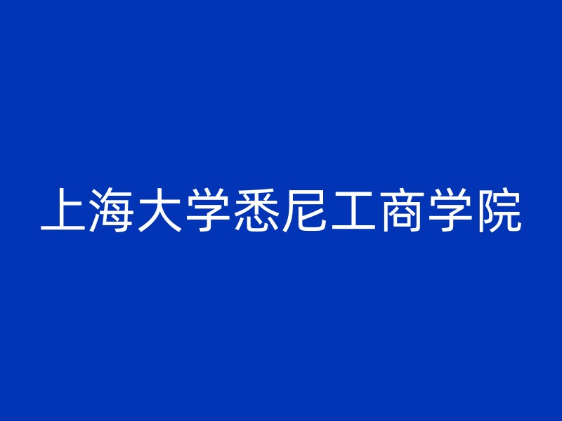 上海大学悉尼工商学院