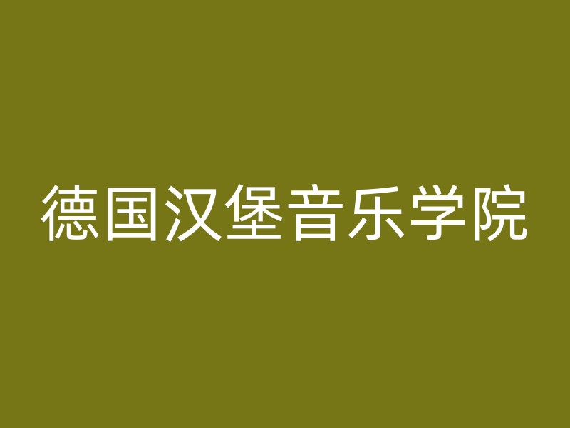 德国汉堡音乐学院