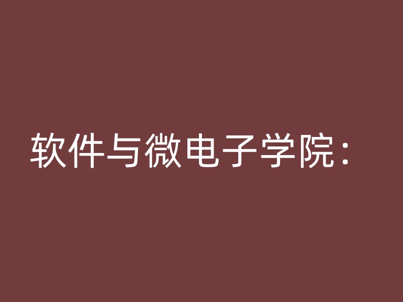 软件与微电子学院：