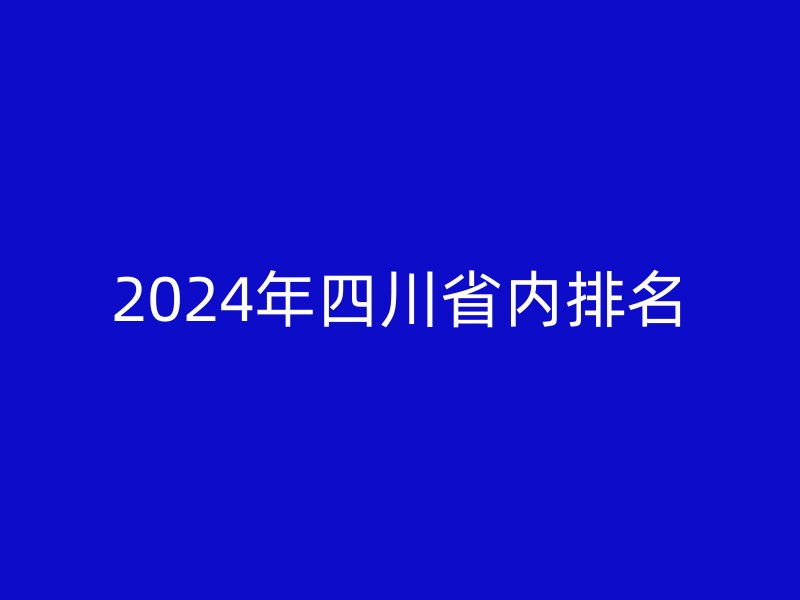 2024年四川省内排名