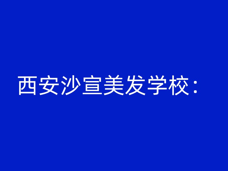 西安沙宣美发学校：