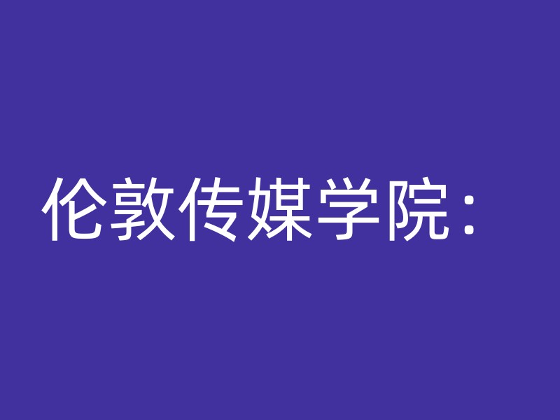 伦敦传媒学院：