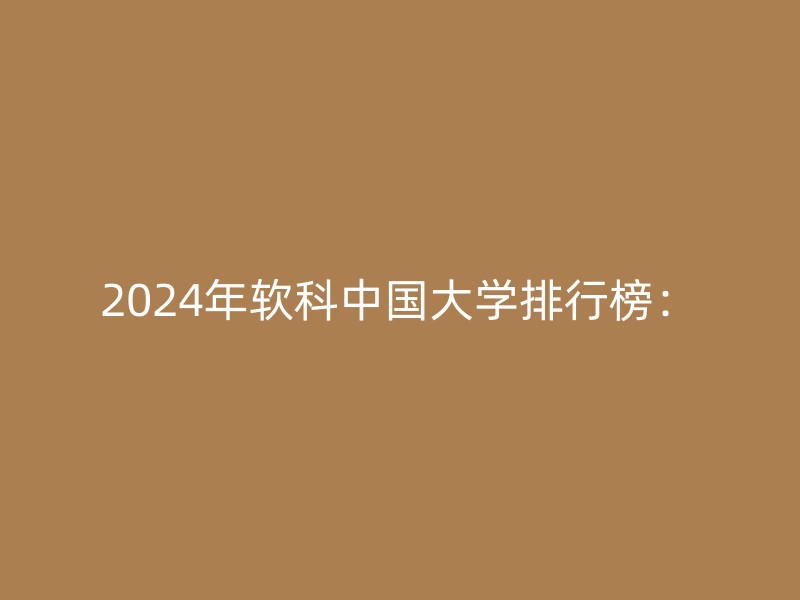 2024年软科中国大学排行榜：