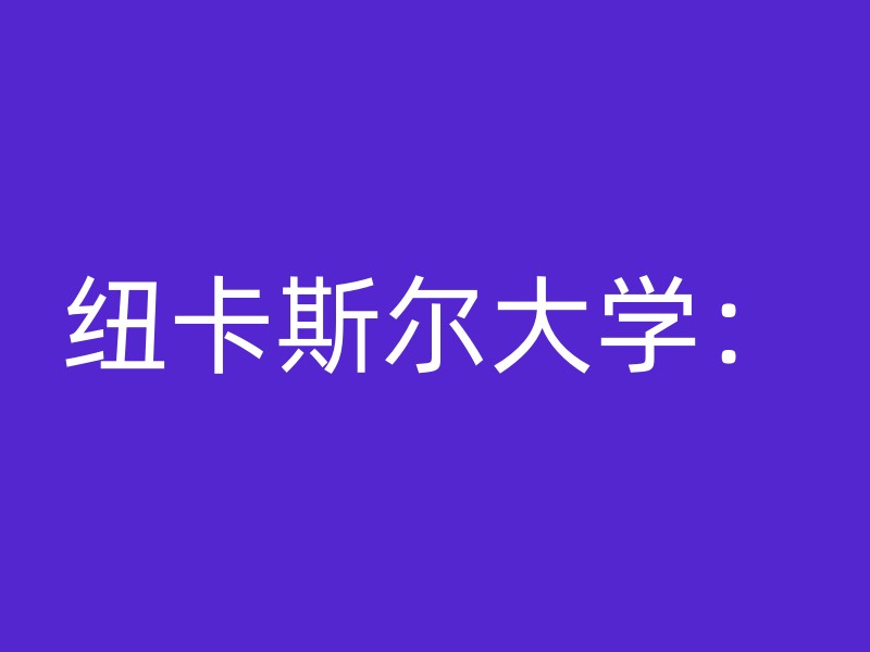 纽卡斯尔大学：