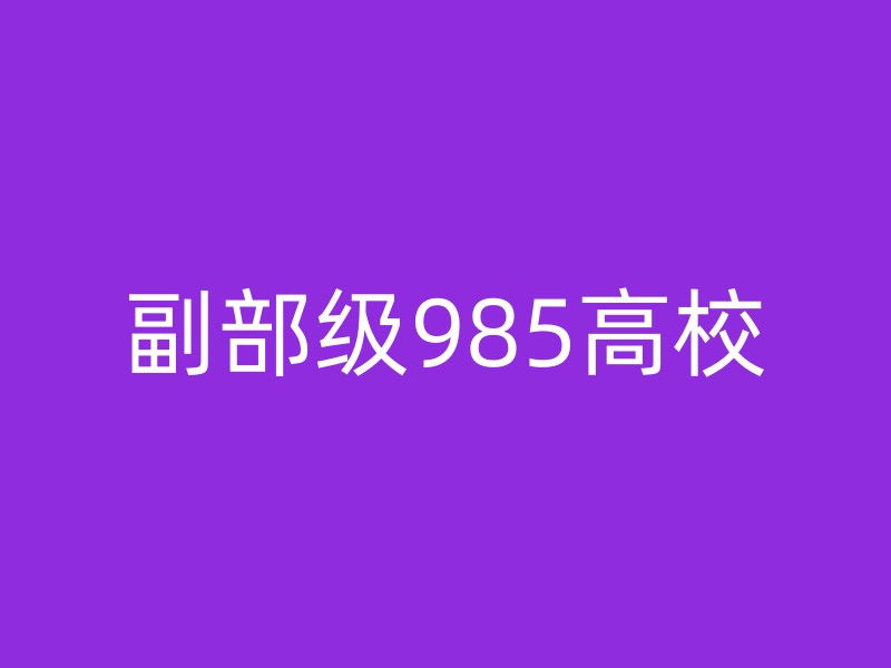 副部级985高校