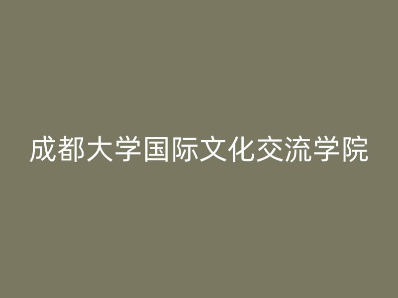 成都大学国际文化交流学院