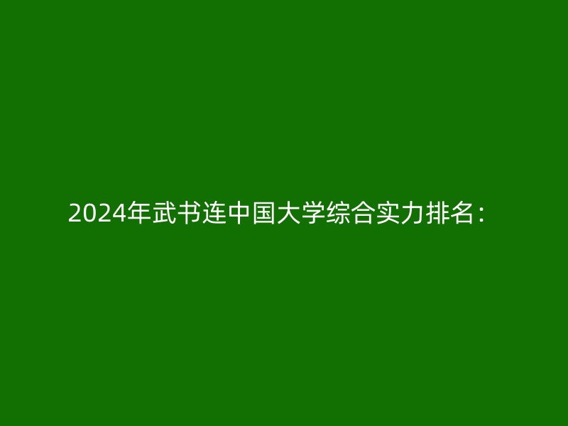 2024年武书连中国大学综合实力排名：