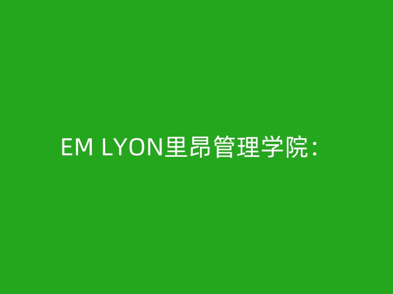 EM LYON里昂管理学院：