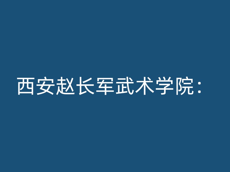 西安赵长军武术学院：