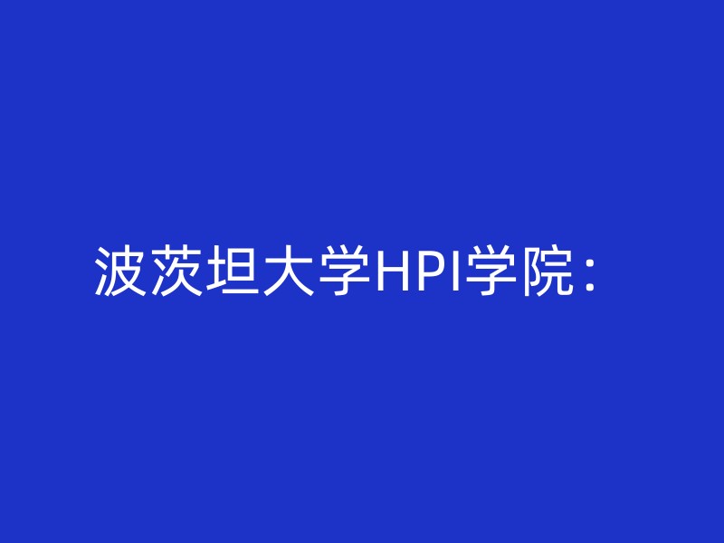 波茨坦大学HPI学院：