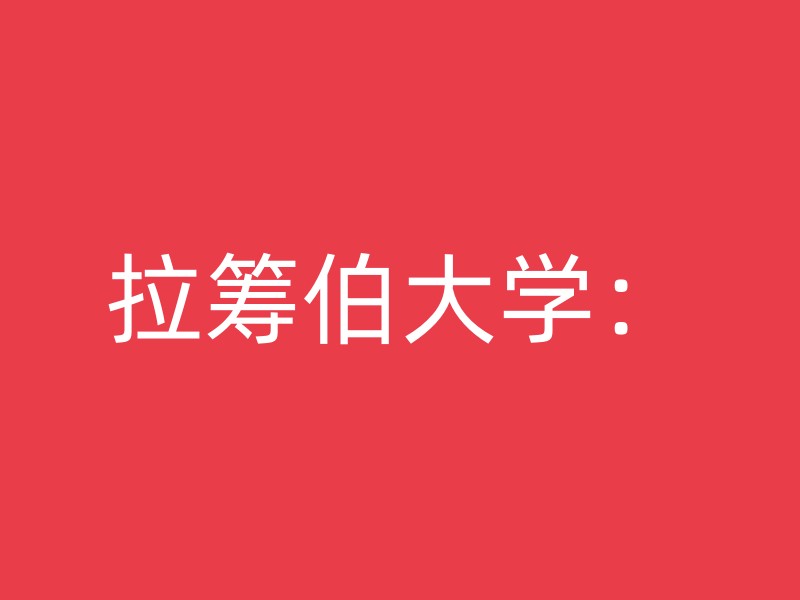 拉筹伯大学：