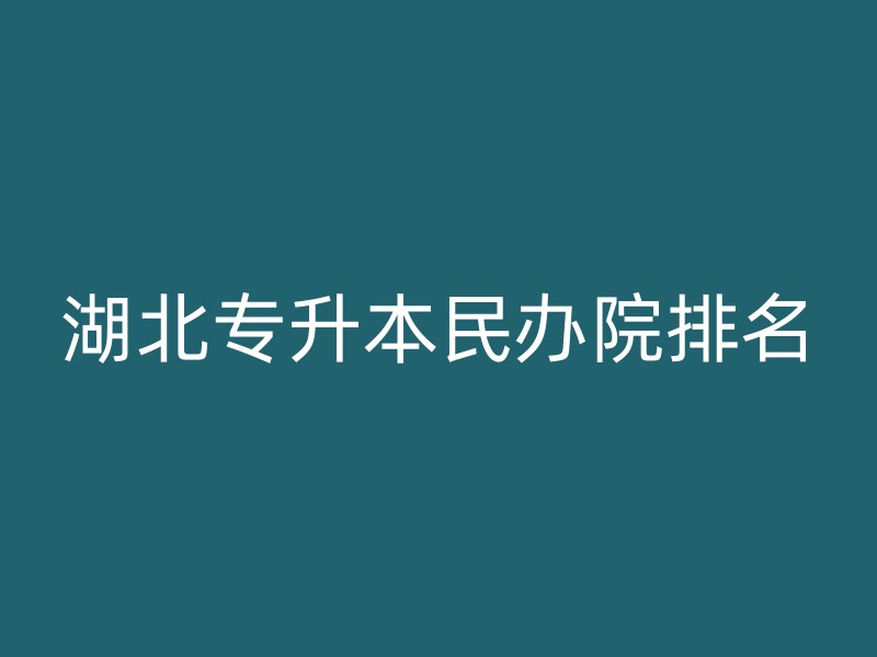 湖北专升本民办院排名