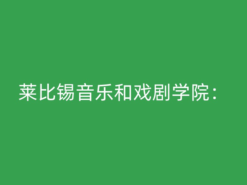 莱比锡音乐和戏剧学院：