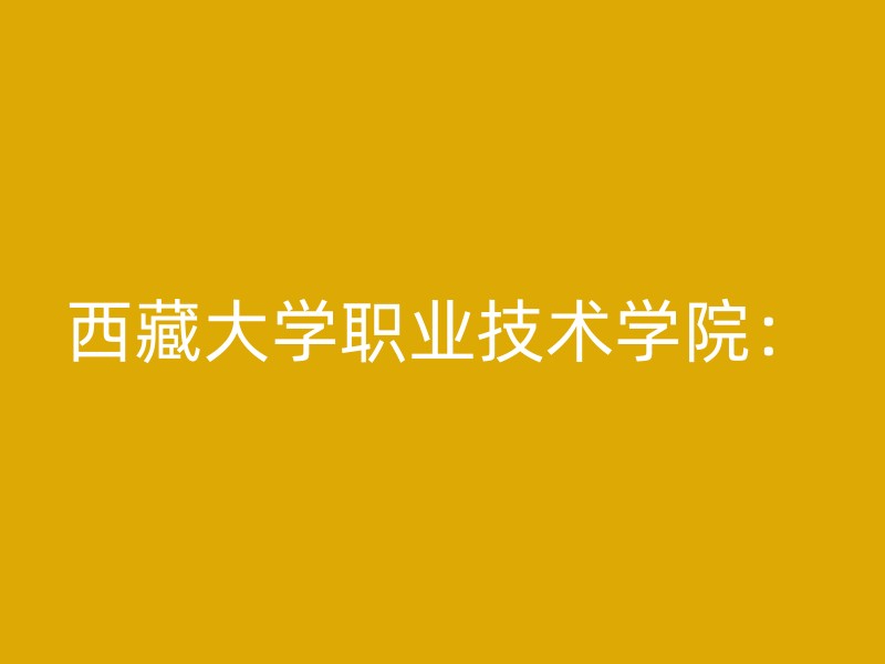 西藏大学职业技术学院：