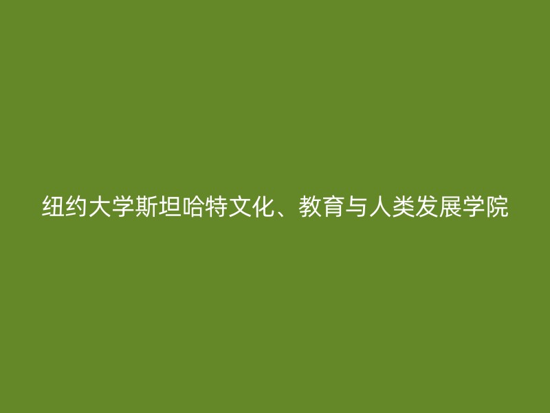 纽约大学斯坦哈特文化、教育与人类发展学院