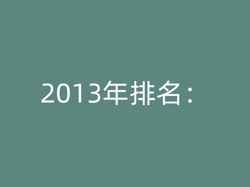 2013年排名：