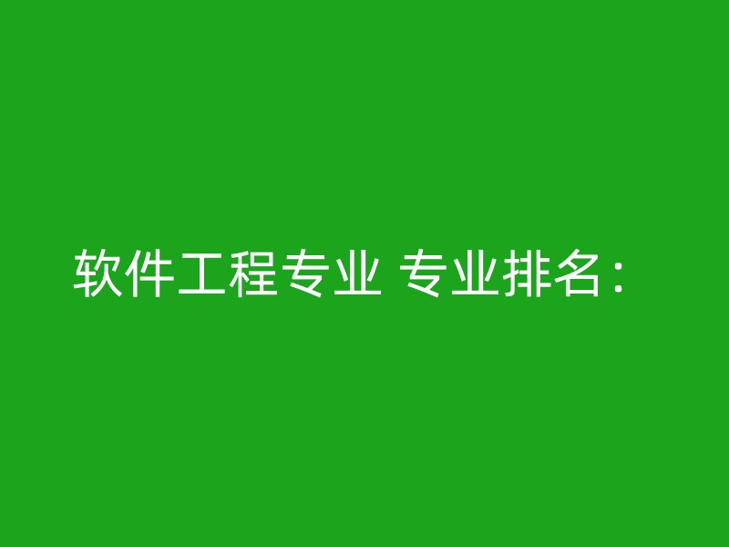 软件工程专业 专业排名：