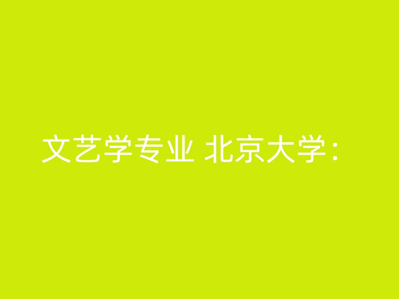 文艺学专业 北京大学：