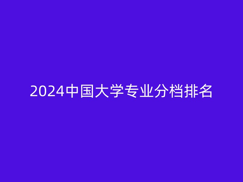 2024中国大学专业分档排名