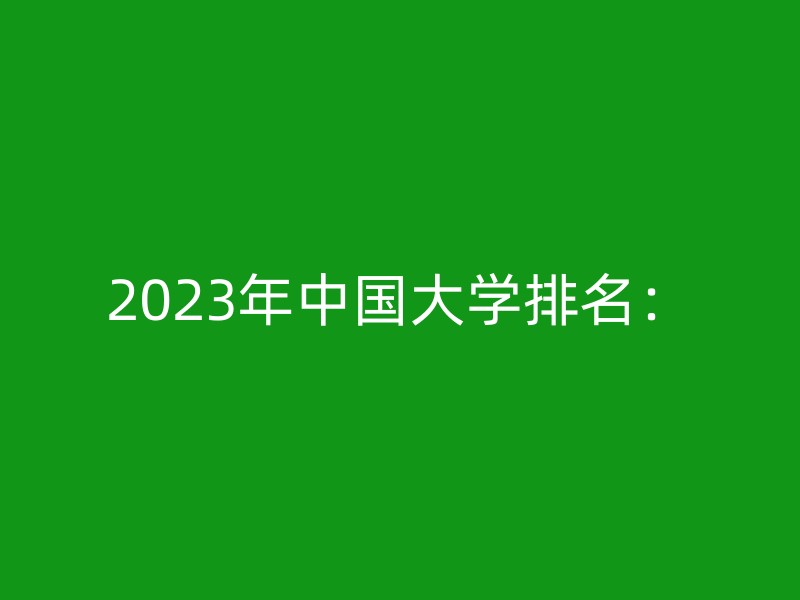 2023年中国大学排名：