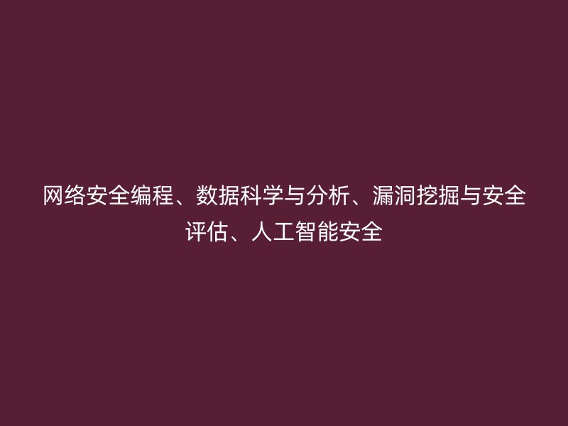 网络安全编程、数据科学与分析、漏洞挖掘与安全评估、人工智能安全