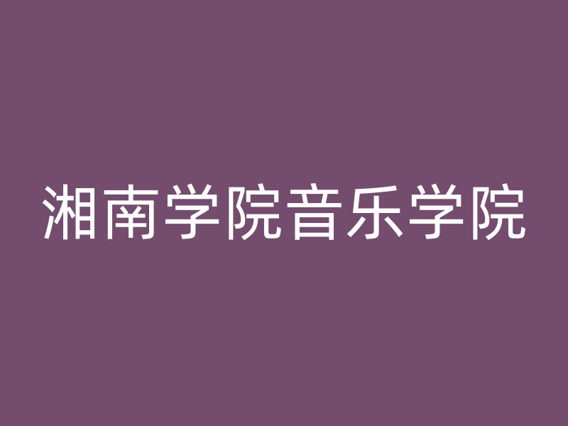 湘南学院音乐学院