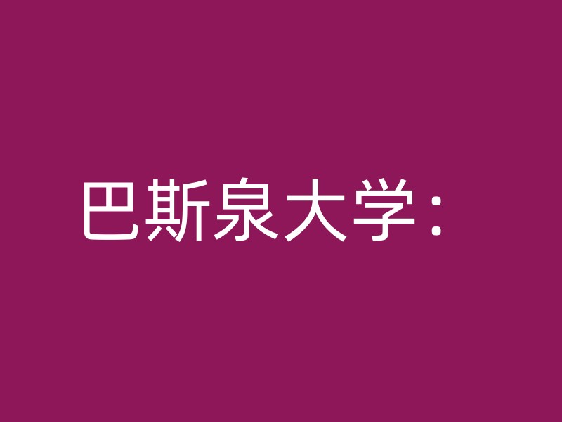 巴斯泉大学：