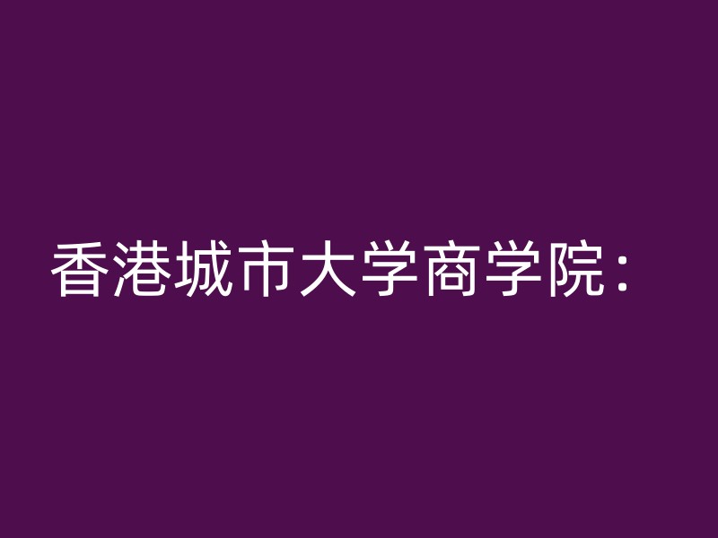 香港城市大学商学院：