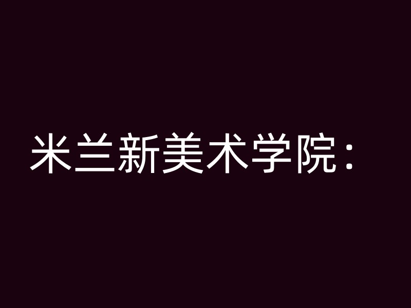 米兰新美术学院：