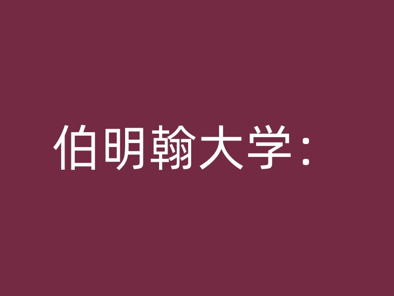 伯明翰大学：