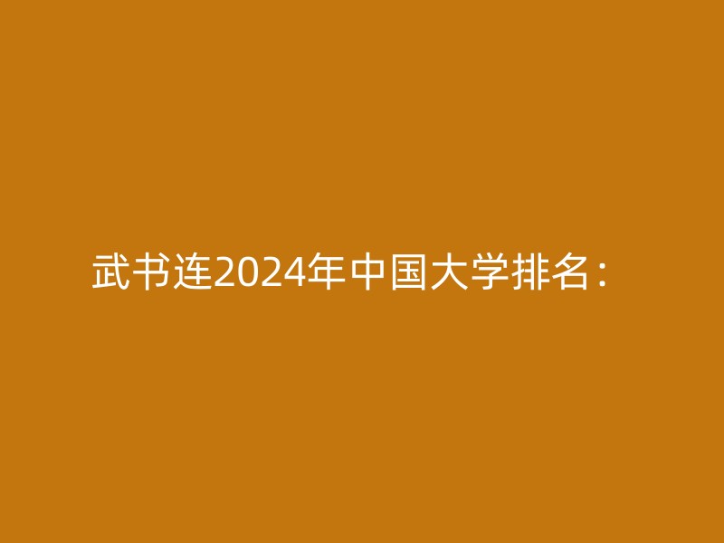 武书连2024年中国大学排名：