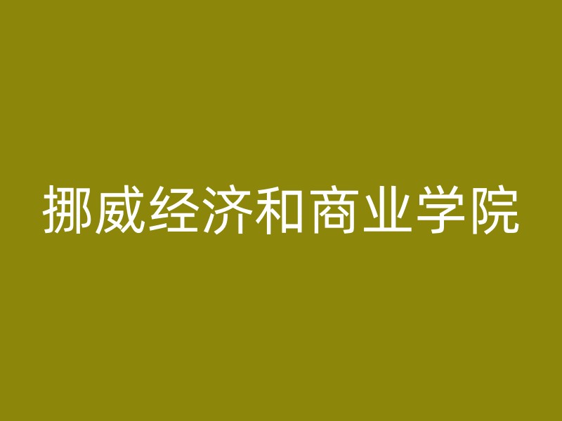 挪威经济和商业学院