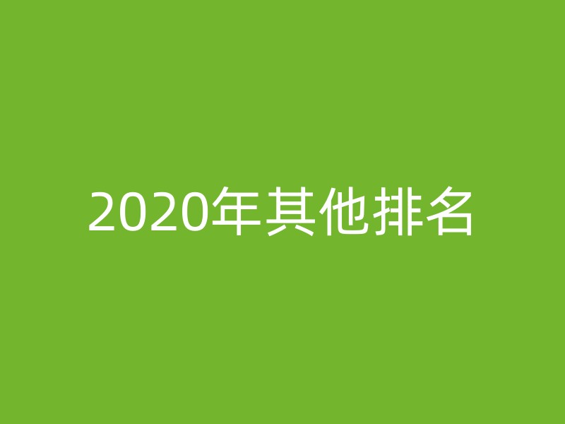 2020年其他排名