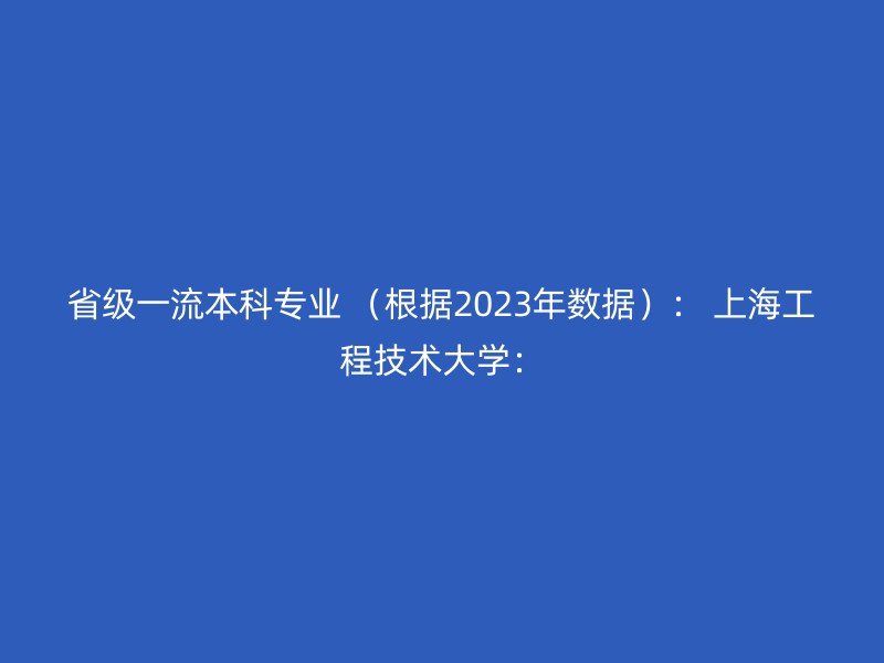 省级一流本科专业 （根据2023年数据）： 上海工程技术大学：