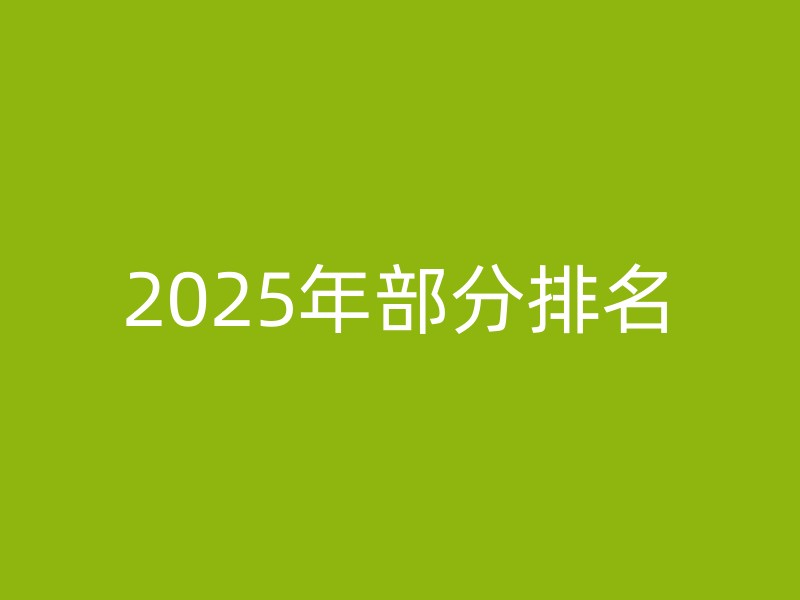 2025年部分排名