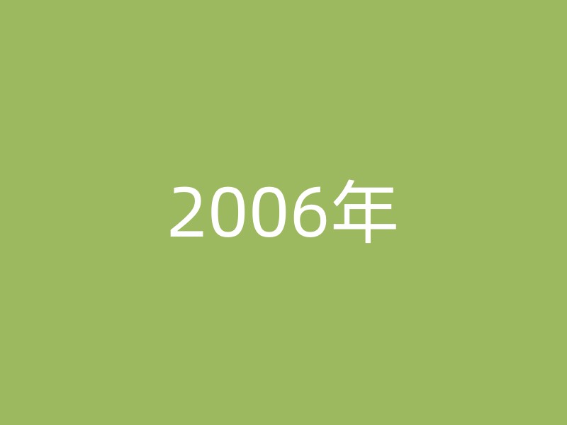 2006年