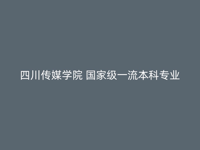 四川传媒学院 国家级一流本科专业