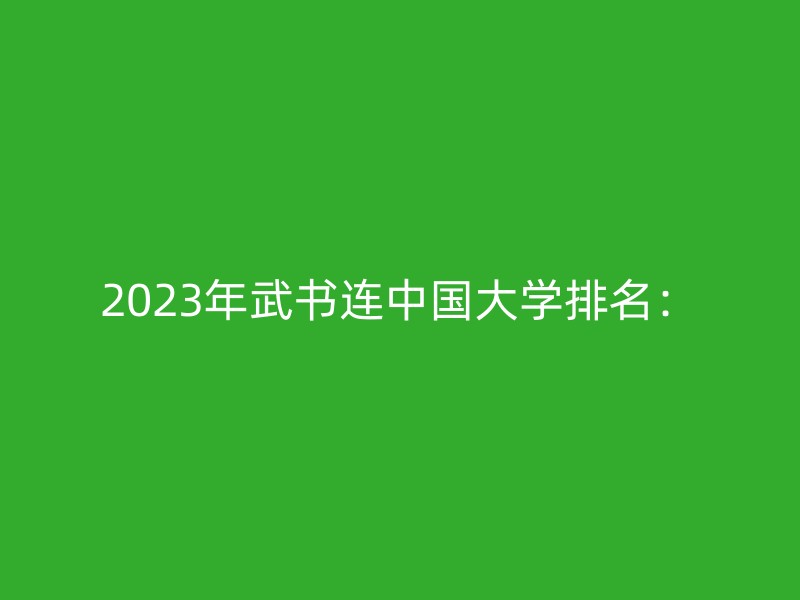 2023年武书连中国大学排名：