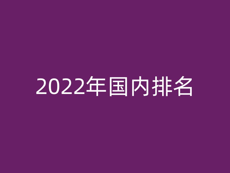 2022年国内排名