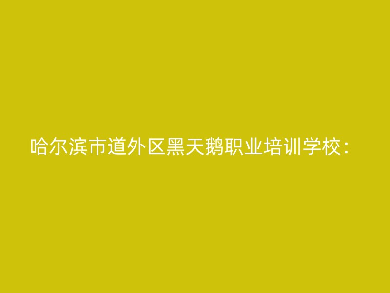 哈尔滨市道外区黑天鹅职业培训学校：