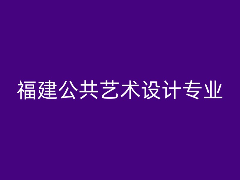 福建公共艺术设计专业