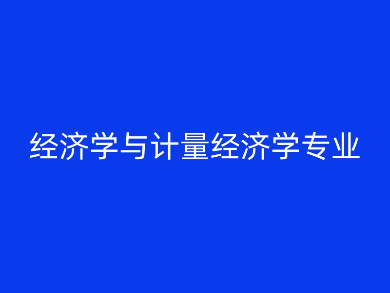 经济学与计量经济学专业