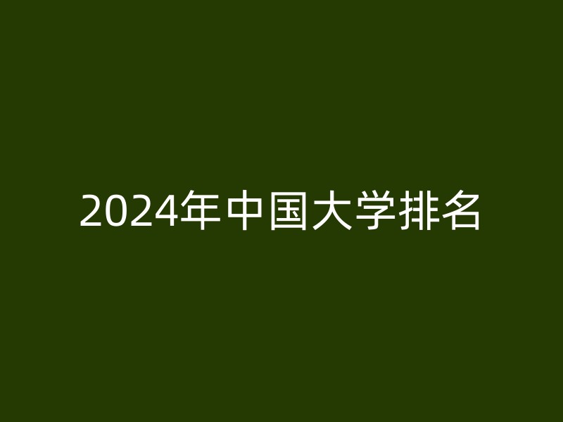 2024年中国大学排名