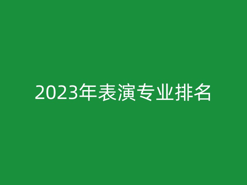 2023年表演专业排名