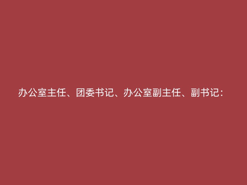 办公室主任、团委书记、办公室副主任、副书记：