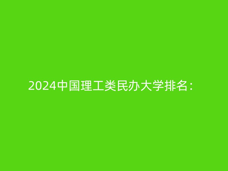 2024中国理工类民办大学排名：