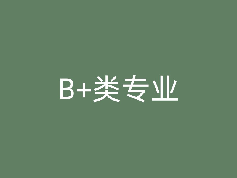 B+类专业