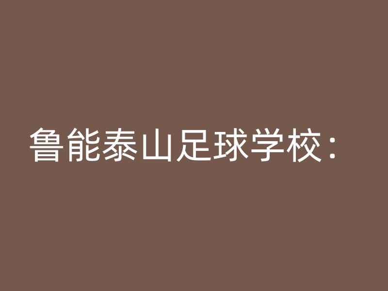 鲁能泰山足球学校：